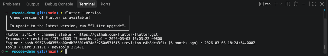 Terminal do VS Code com flutter --version a responder